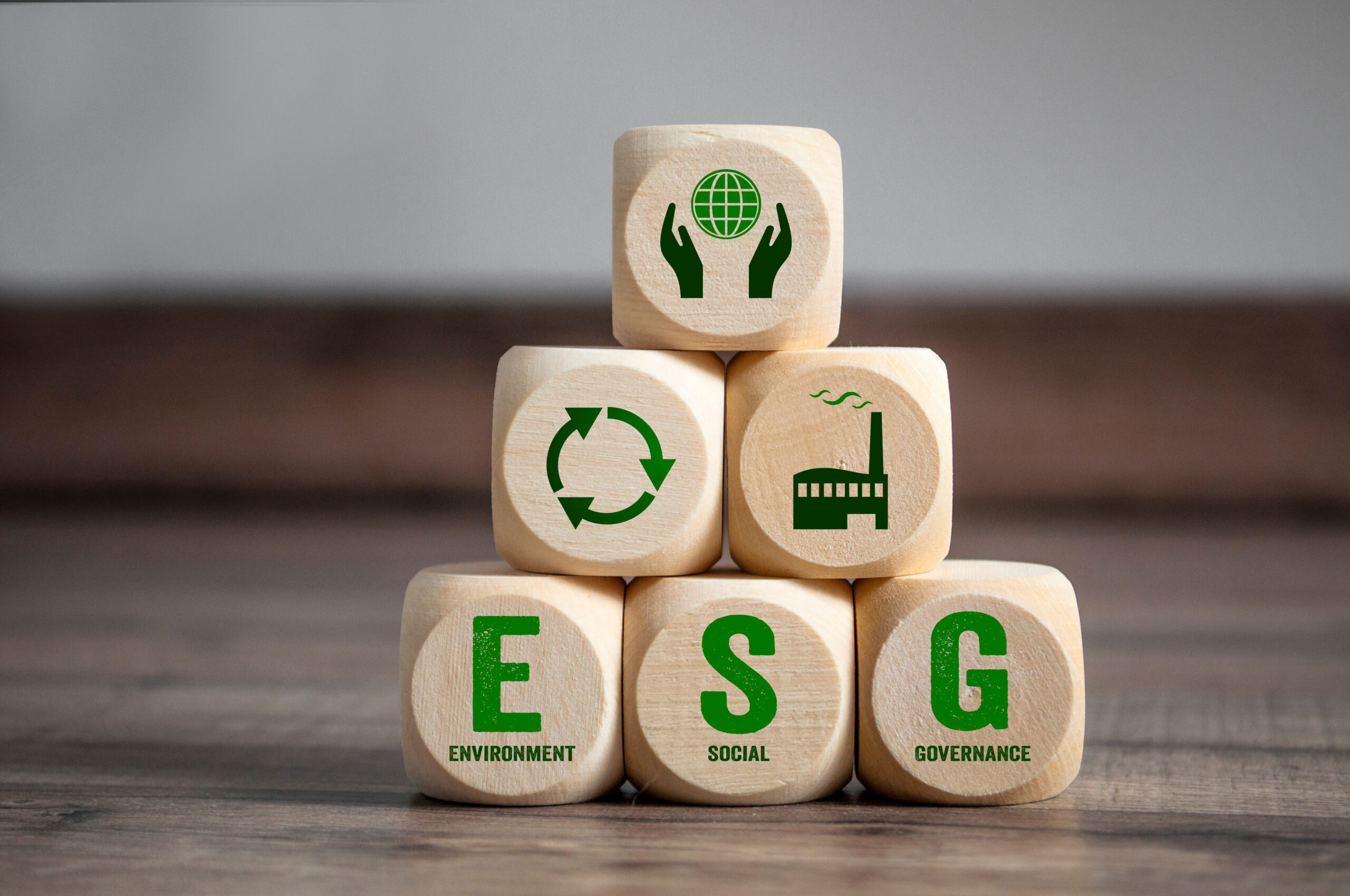 Cubes, dice or blocks with acronym ESG environment social govern